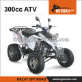 ATV 300cc Quad Bike (gute Leistung /EEC)